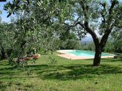 Self-catering apartments with pool near Florence